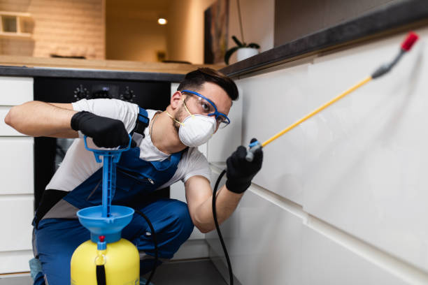 Best Best Pest Control Companies  in Presquille, LA