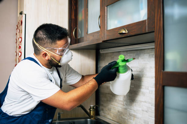 Best Residential Pest Control  in Presquille, LA