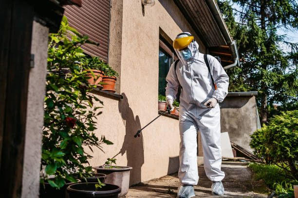 Trusted Presquille, LA Pest Control Experts