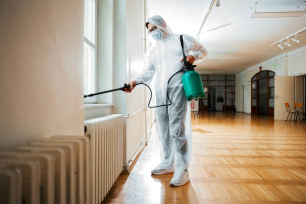 Best Mosquito Control Services  in Presquille, LA