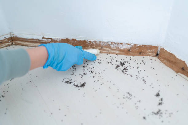 Best Pest Removal Services  in Presquille, LA